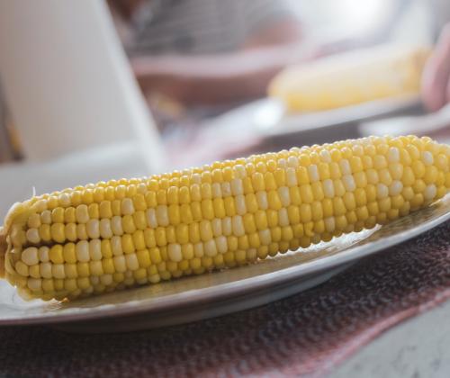 corn